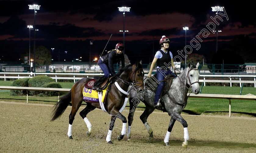 Catholic-Boy-0001 
 CATHOLIC BOY exercising ahead of The Breeders' Cup Classic
Churchill Downs USA 31 Oct 2018 - Pic Steven Cargill / Racingfotos.com