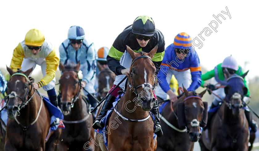 Magical-Zoe-0003 
 MAGICAL ZOE (W J Lee) wins Sky Bet Ebor Handicap
York 24 Aug 2024 - Pic Steven Cargill / Racingfotos.com