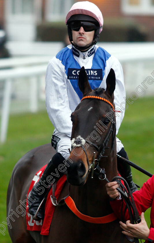 Waiting-Patiently-0001 
 WAITING PATIENTLY (Brian Hughes)
Kempton 26 Dec 2018 - Pic Steven Cargill / Racingfotos.com