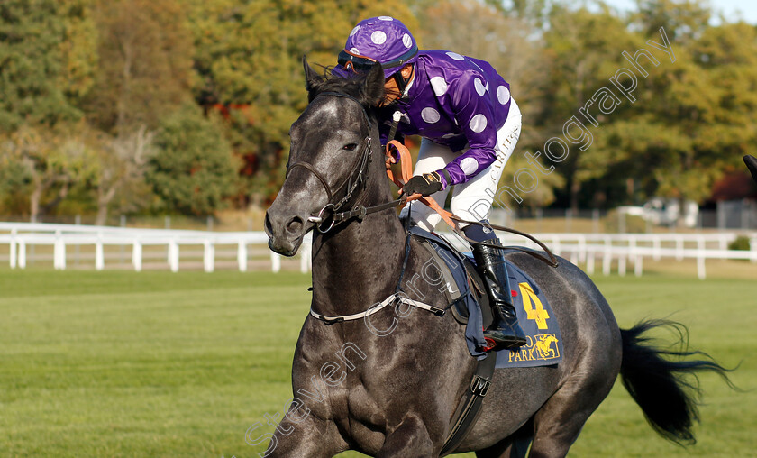 Grey-Tycoon-0001 
 GREY TYCOON (Carlos Lopez)
Bro Park, Sweden 15 Sep 2024 - Pic Steven Cargill / Racingfotos.com