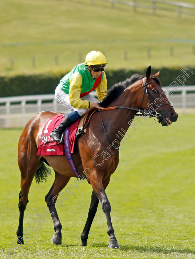 Audarya-0001 
 AUDARYA (William Buick)
Goodwood 29 Jul 2021 - Pic Steven Cargill / Racingfotos.com