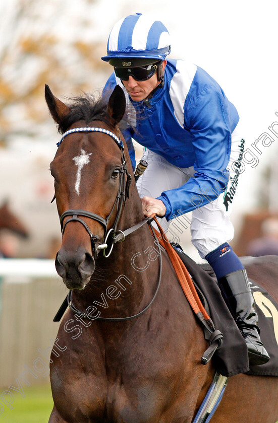 Al-Zaraqaan-0002 
 AL ZARAQAAN (Jim Crowley)
Newmarket 23 Oct 2019 - Pic Steven Cargill / Racingfotos.com