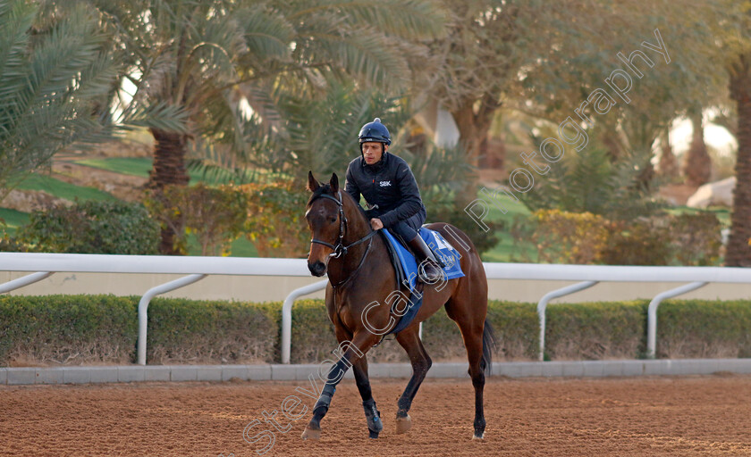 Happy-Romance-0001 
 HAPPY ROMANCE (Sean Levey) training for The 1351 Turf Sprint
King Abdulaziz Racecourse, Kingdom Of Saudi Arabia, 23 Feb 2023 - Pic Steven Cargill / Racingfotos.com