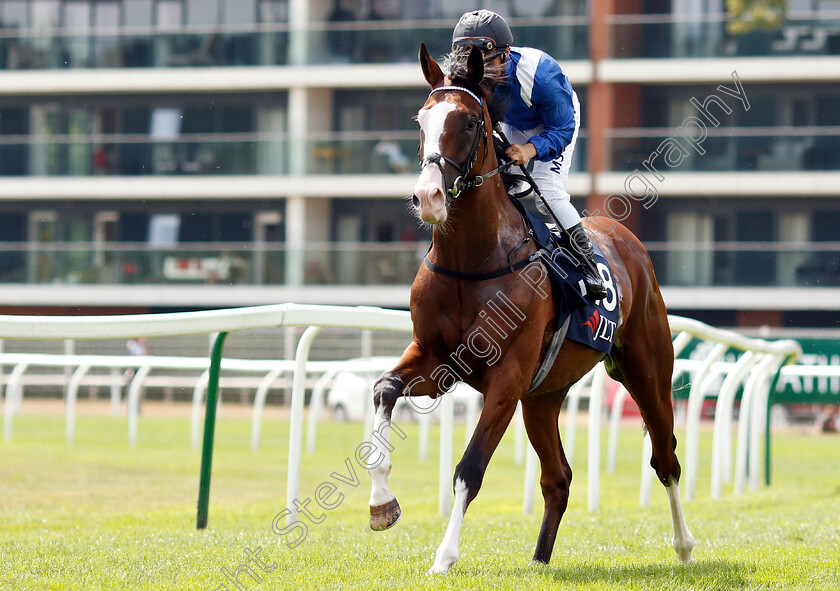 Almoghared-0001 
 ALMOGHARED (Andrea Atzeni)
Newbury 21 Jul 2018 - Pic Steven Cargill / Racingfotos.com