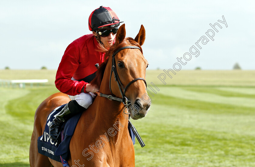 Star-Terms-0001 
 STAR TERMS (James Doyle)
Newmarket 5 May 2019 - Pic Steven Cargill / Racingfotos.com