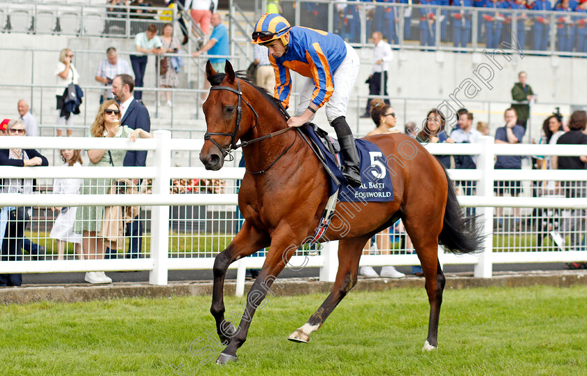 Aesop s-Fables-0001 
 AESOP'S FABLES (Ryan Moore)
The Curragh 10 Sep 2023 - Pic Steven Cargill / Racingfotos.com