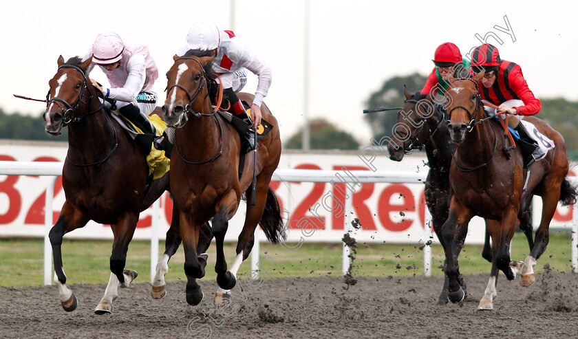 King s-Slipper-0004 
 KING'S SLIPPER (centre, Adam Kirby) beats CROQUE MONSIEUR (left) and QUALITY SEEKER (right) in The 32red.com Handicap
Kempton 29 Aug 2018 - Pic Steven Cargill / Racingfotos.com