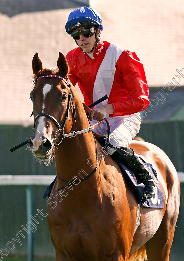 Kinsman-0001 
 KINSMAN (James Doyle)
Yarmouth 18 Sep 2019 - Pic Steven Cargill / Racingfotos.com