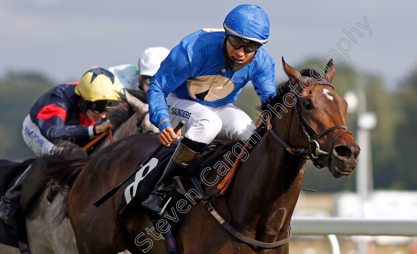 New-Heights-0004 
 NEW HEIGHTS (Tyler Saunders) wins The Always Bet Responsibly At BetVictor Apprentice Handicap
Newbury 13 Aug 2021 - Pic Steven Cargill / Racingfotos.com