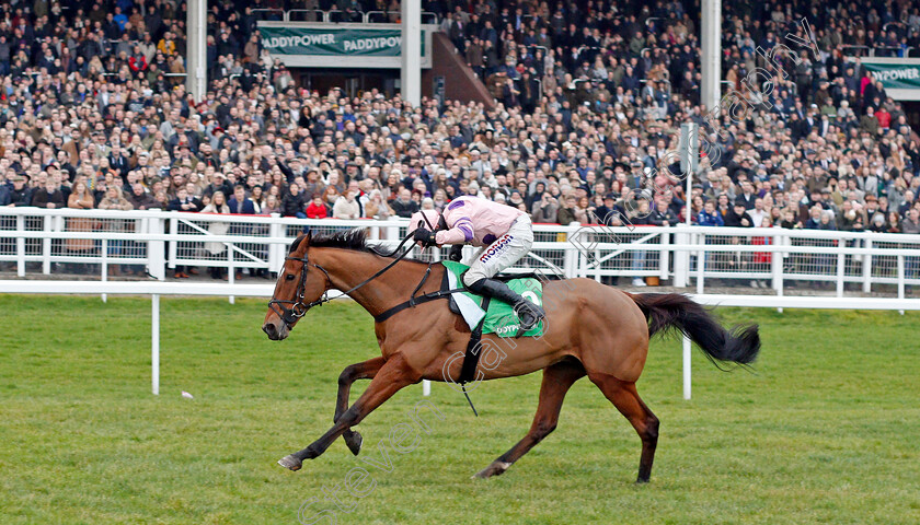 Oldgrangewood-0002 
 OLDGRANGEWOOD (Harry Skelton) wins The Paddy Power Handicap Chase
Cheltenham 1 Jan 2020 - Pic Steven Cargill / Racingfotos.com