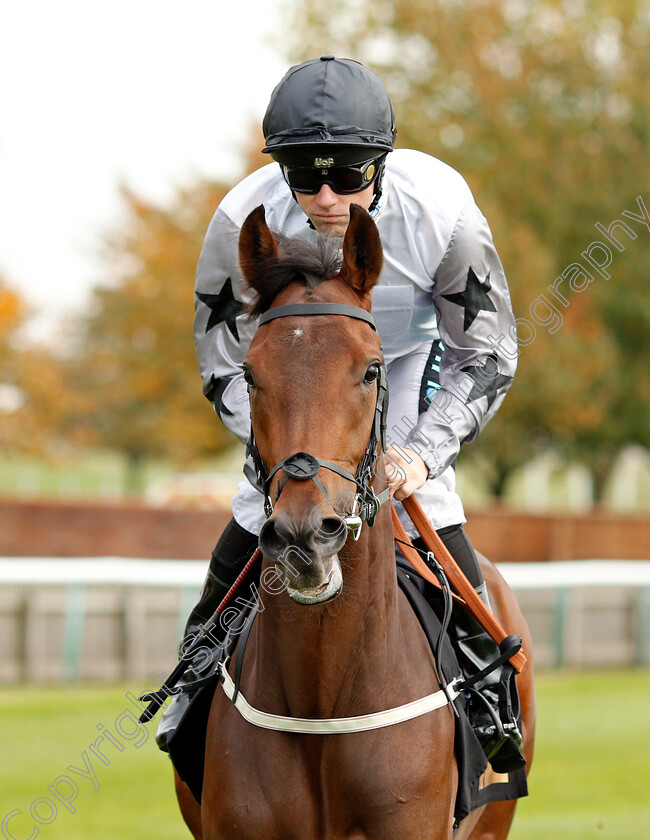 Joanie-Stubbs-0001 
 JOANIE STUBBS (Stevie Donohoe)
Newmarket 23 Oct 2019 - Pic Steven Cargill / Racingfotos.com