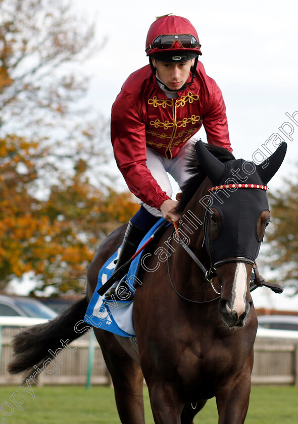 Hidden-Message-0001 
 HIDDEN MESSAGE (Oisin Murphy)
Newmarket 12 Oct 2018 - Pic Steven Cargill / Racingfotos.com