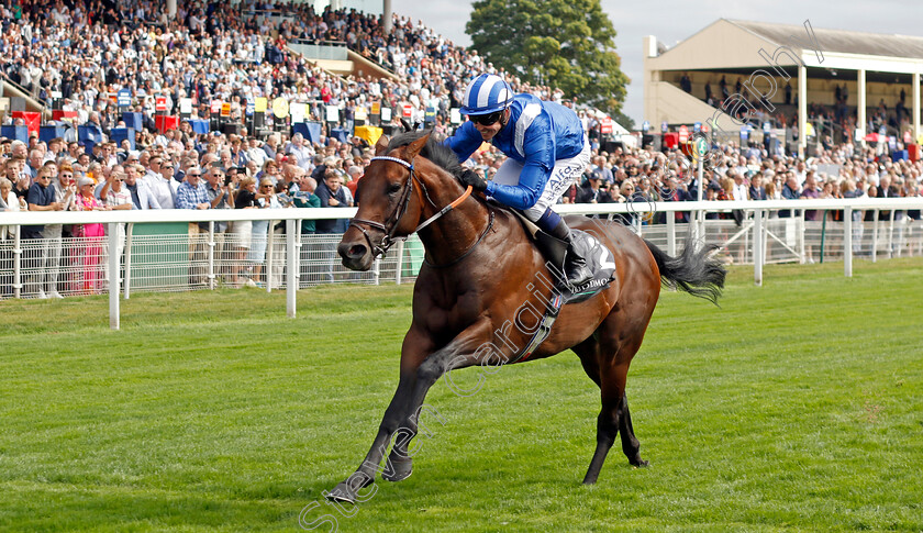 Baaeed-0009 
 BAAEED (Jim Crowley) wins The Juddmonte International Stakes
York 17 Aug 2022 - Pic Steven Cargill / Racingfotos.com