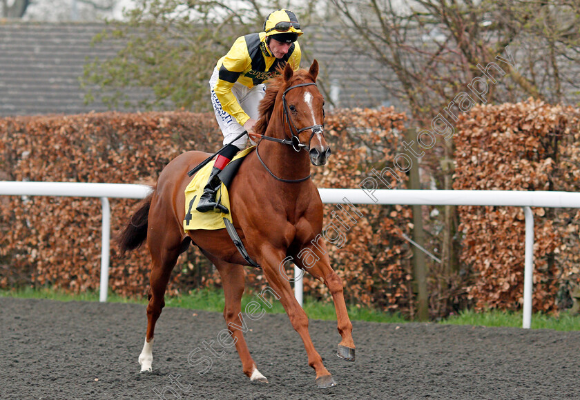 Deva-Dandy-0001 
 DEVA DANDY (Adam Kirby) Kempton 11 Apr 2018 - Pic Steven Cargill / Racingfotos.com