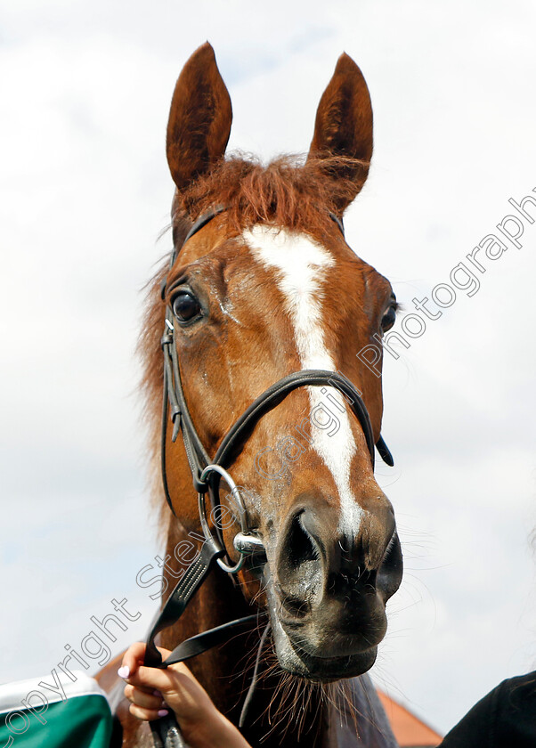 Forest-Fairy-0007 
 FOREST FAIRY winner of The Weatherbys ePassport Cheshire Oaks
Chester 8 May 2024 - Pic Steven Cargill / Racingfotos.com