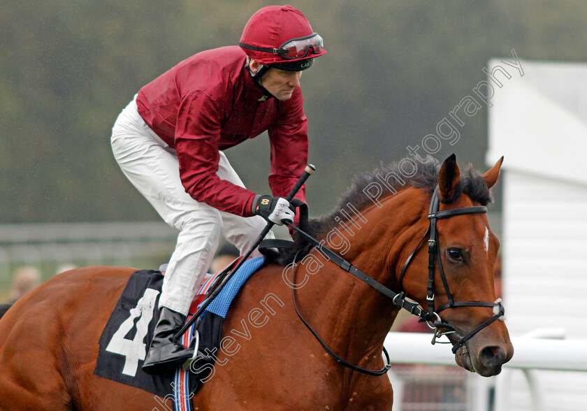 Herman-Hesse-0001 
 HERMAN HESSE (Robert Havlin)
Goodwood 25 Sep 2019 - Pic Steven Cargill / Racingfotos.com