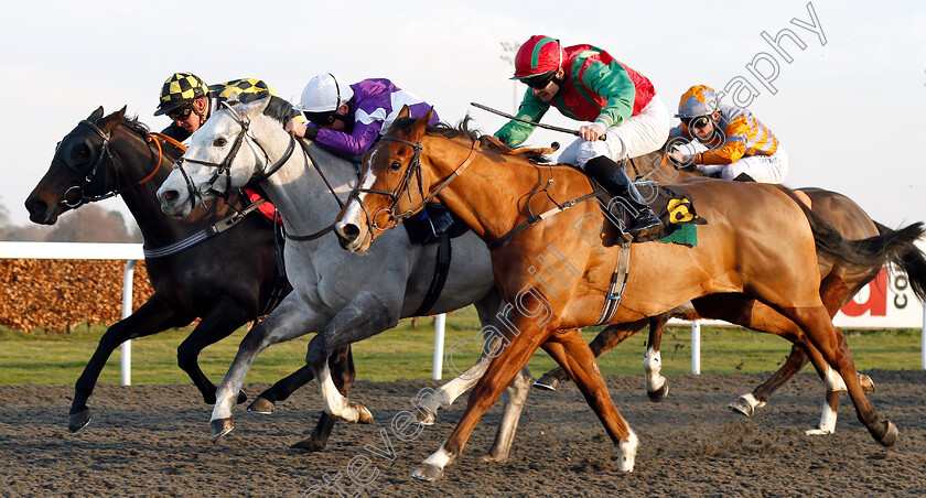 Holdenhurst-0003 
 HOLDENHURST (centre, John Egan) beats DISTANT APPLAUSE (right) and MERCERS (left) in The Wise Betting At racingtv.com Handicap
Kempton 4 Jan 2019 - Pic Steven Cargill / Racingfotos.com