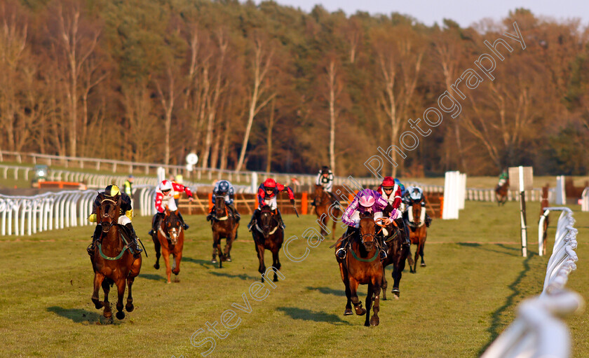 Oksana-0002 
 OKSANA (right, Jonathan England) beats ROMEO BROWN (left) in The Mansionbet Best Odds Guaranteed Handicap Hurdle
Market Rasen 19 Apr 2021 - Pic Steven Cargill / Racingfotos.com