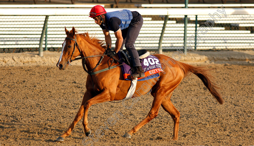 Eziyra-0001 
 EZIYRA exercising ahead of The Breeders' Cup Filly & Mare Turf
Churchill Downs USA 31 Oct 2018 - Pic Steven Cargill / Racingfotos.com