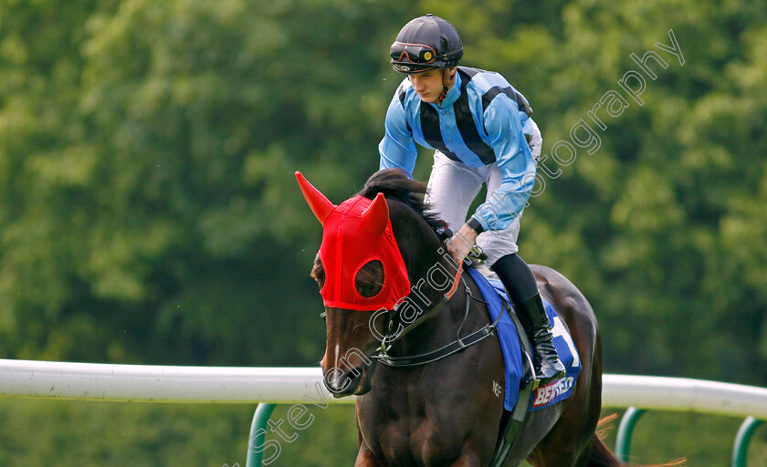 Asfoora-0003 
 ASFOORA (Mitchell Aitken) goes to post for the Temple Stakes
Haydock 25 May 2024 - Pic Steven Cargill / Racingfotos.com