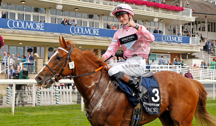 Live-In-The-Dream-0009 
 LIVE IN THE DREAM (Sean Kirrane) winner of The Coolmore Nunthorpe Stakes
York 25 Aug 2023 - Pic Steven Cargill / Racingfotos.com