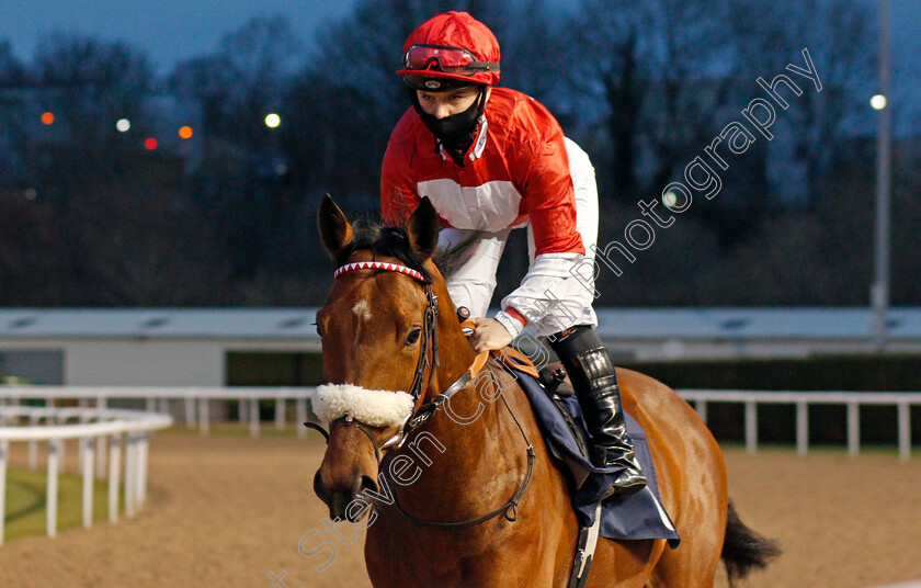 The-Guvnor-0001 
 THE GUVNOR (Laura Pearson)
Wolverhampton 12 Mar 2021 - Pic Steven Cargill / Racingfotos.com