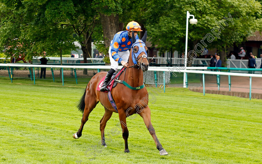 Skycutter 
 SKYCUTTER (Ben Curtis)
Haydock 21 May 2022 - Pic Steven Cargill / Racingfotos.com