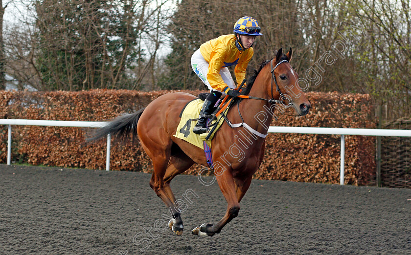 Dana-Forever-0001 
 DANA FOREVER (Jane Elliott)
Kempton 17 Feb 2020 - Pic Steven Cargill / Racingfotos.com