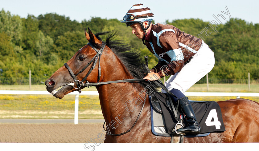 Hector-Loza-0001 
 HECTOR LOZA (Nicky Mackay) winner of The Hills Prospect Champagne & Prosecco Novice Stakes
Chelmsford 23 Jul 2019 - Pic Steven Cargill / Racingfotos.com