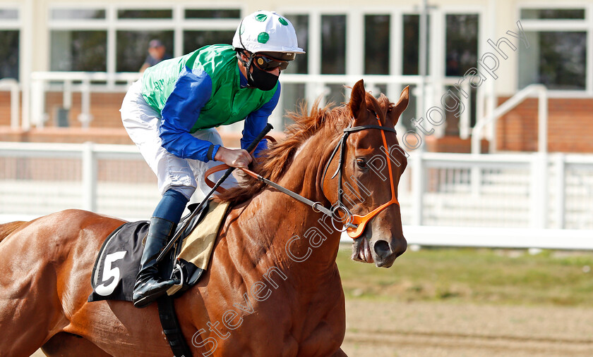 Decisive-Edge-0001 
 DECISIVE EDGE (William Buick) winner of The tote Placepot Your First Bet EBF Novice Stakes
Chelmsford 20 Sep 2020 - Pic Steven Cargill / Racingfotos.com