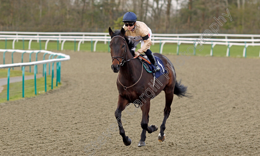 Lakota-Brave-0001 
 LAKOTA BRAVE (Hollie Doyle)
Lingfield 4 Apr 2024 - Pic Steven Cargill / Racingfotos.com