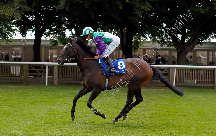 Vadream-0001 
 VADREAM (Kieran Shoemark)
Newmarket 13 Jul 2024 - Pic Steven Cargill / Racingfotos.com