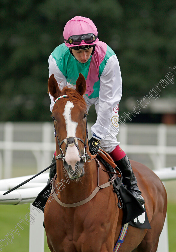 Siyata-0002 
 SIYATA (Oisin Murphy)
Newbury 13 Aug 2021 - Pic Steven Cargill / Racingfotos.com