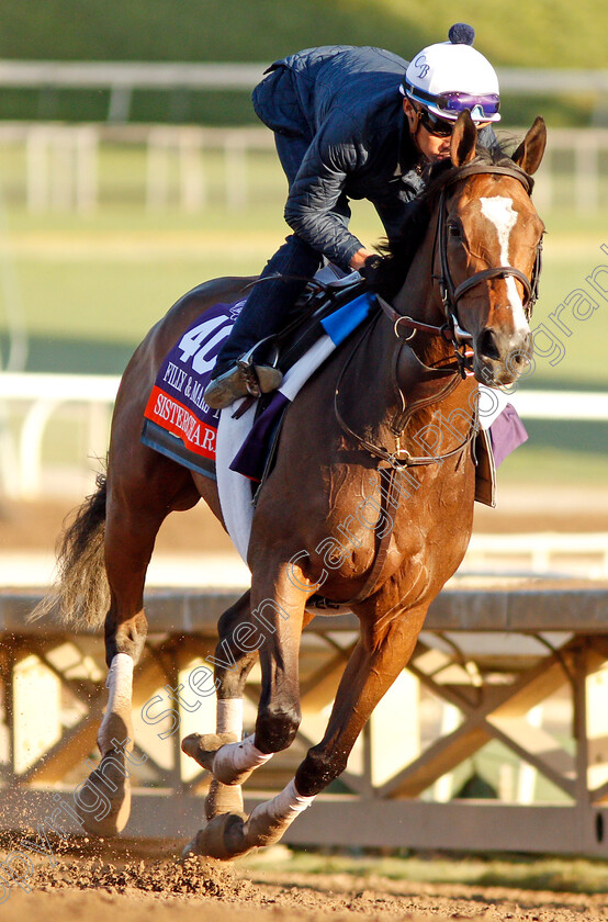 Sistercharlie-0002 
 SISTERCHARLIE training for the Breeders' Cup Filly & Mare Turf
Santa Anita USA 30 Oct 2019 - Pic Steven Cargill / Racingfotos.com