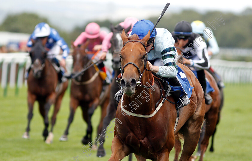 Belated-Breath-0004 
 BELATED BREATH (Oisin Murphy) wins The Bill Garnett Memorial Fillies Handicap
Salisbury 16 Aug 2018 - Pic Steven Cargill / Racingfotos.com