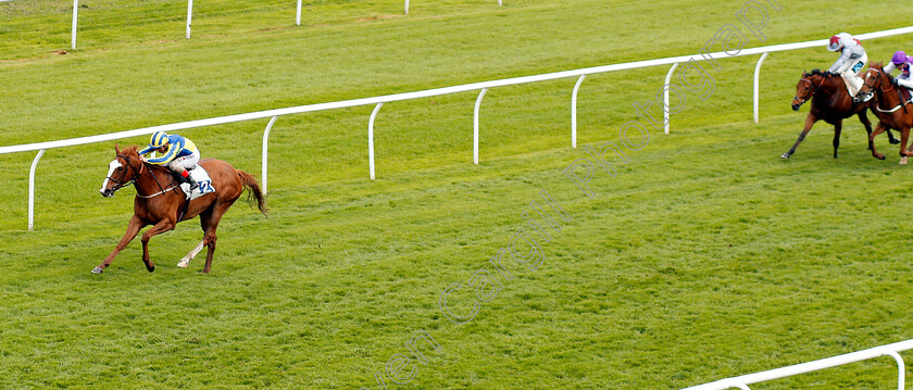 Belisa-0001 
 BELISA (Andrea Atzeni) wins The Collect Totepool Winnings At Betfred Shops Handicap Leicester 28 Apr 2018 - Pic Steven Cargill / Racingfotos.com