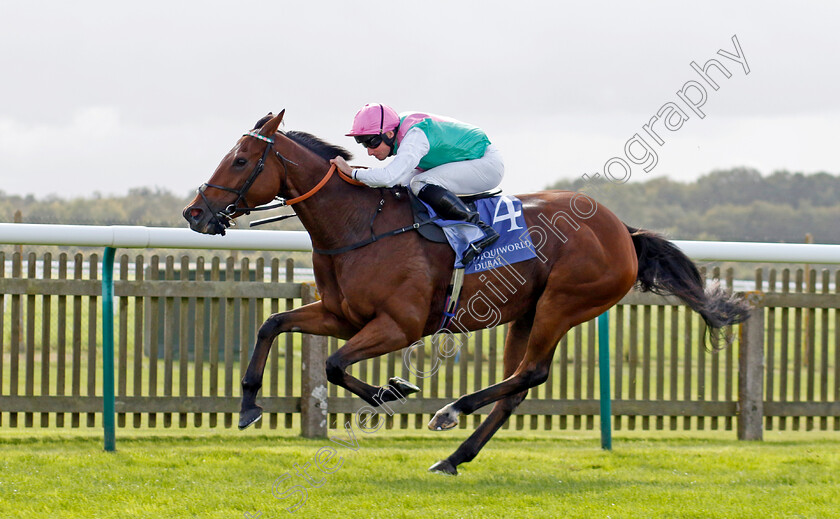 Time-Lock-0003 
 TIME LOCK (Ryan Moore) wins The Princess Royal Al Basti Equiworld Dubai Stakes
Newmarket 27 Sep 2024 - Pic Steven Cargill / Racingfotos.com