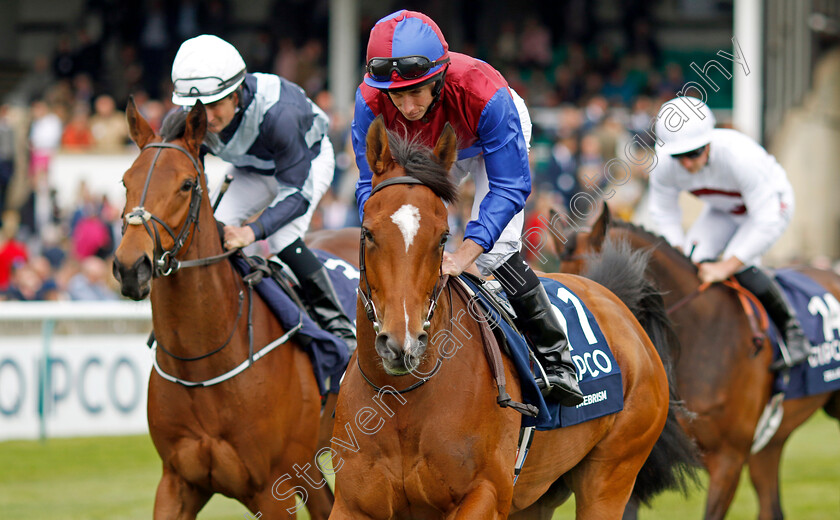 Tenebrism 
 TENEBRISM (Ryan Moore)
Newmarket 1 May 2022 - Pic Steven Cargill / Racingfotos.com