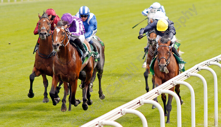 Japan-0005 
 JAPAN (left, Ryan Moore) beats CRYSTAL OCEAN (right) in The Juddmonte International Stakes
York 21 Aug 2019 - Pic Steven Cargill / Racingfotos.com