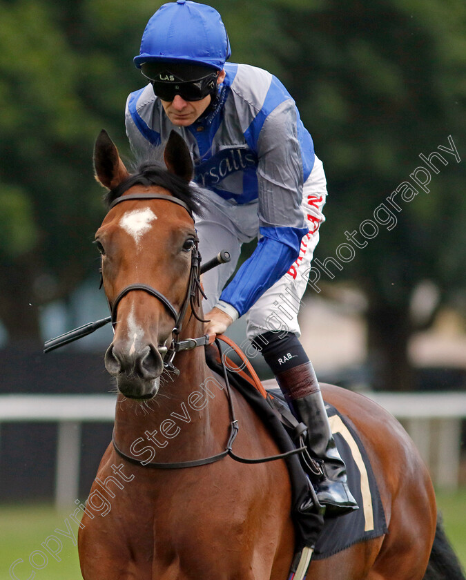 Turner-Girl 
 TURNER GIRL (Robert Havlin)
Newmarket 29 Jul 2022 - Pic Steven Cargill / Racingfotos.com