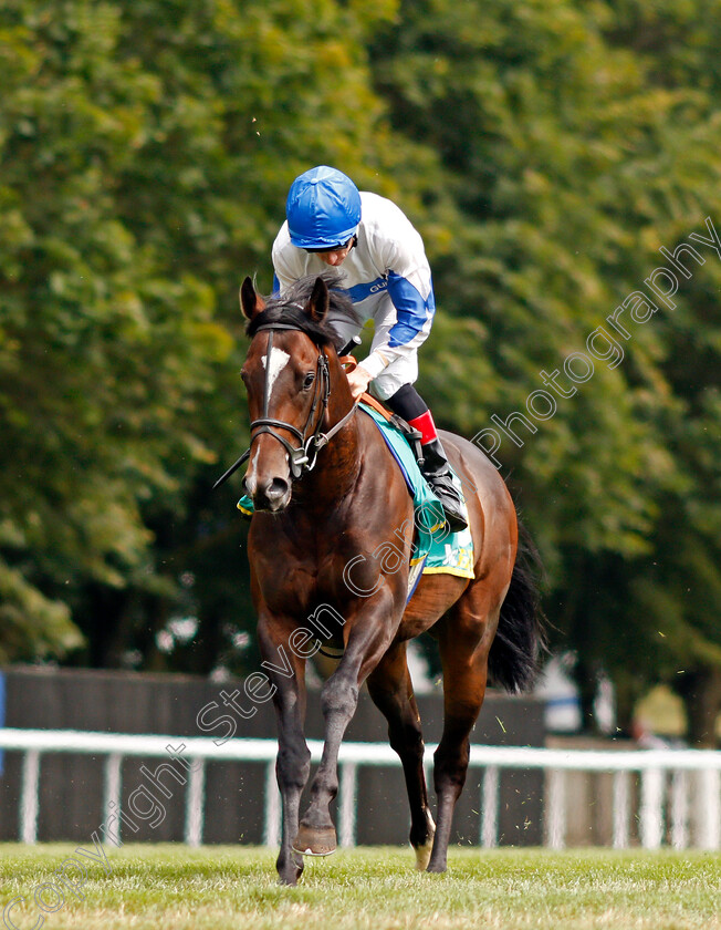 Ropey-Guest-0001 
 ROPEY GUEST (Shane Kelly)
Newmarket 13 Jul 2019 - Pic Steven Cargill / Racingfotos.com