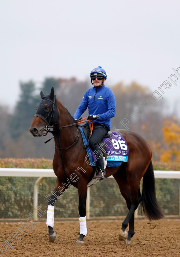 Silver-Knott-0001 
 SILVER KNOTT training for the Breeders' Cup Juvenile Turf
Keeneland USA 1 Nov 2022 - Pic Steven Cargill / Racingfotos.com