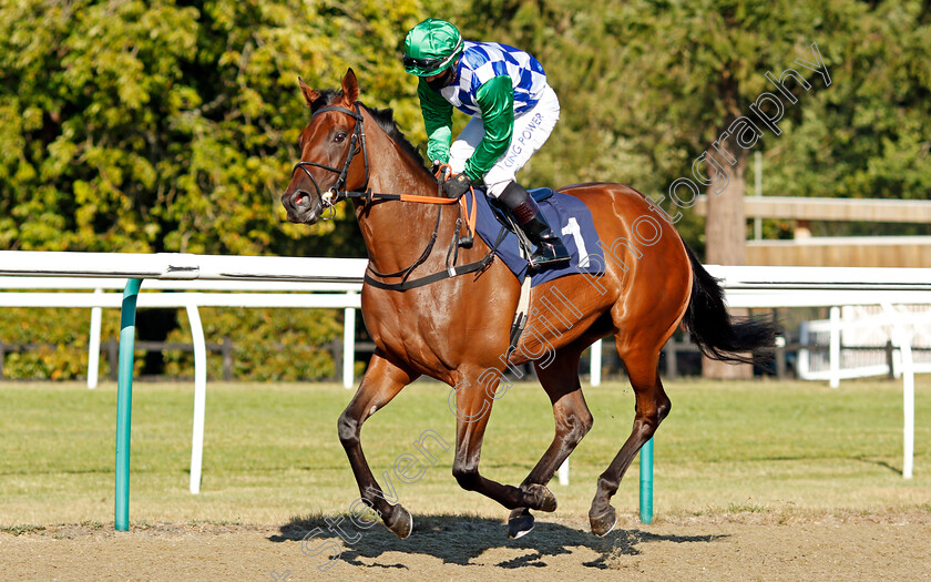 Emotional-Moment-0001 
 EMOTIONAL MOMENT (Silvestre De Sousa)
Lingfield 4 Aug 2020 - Pic Steven Cargill / Racingfotos.com