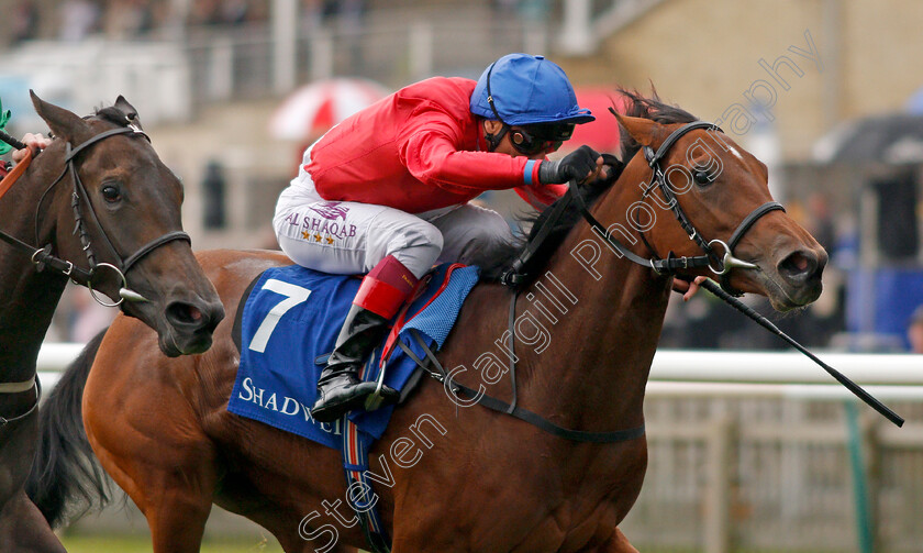 Juliet-Capulet-0005 
 JULIET CAPULET (right, Frankie Dettori) beats NYALETI (left) in The Shadwell Rockfel Stakes Newmarket 29 Sep 2017 - Pic Steven Cargill / Racingfotos.com