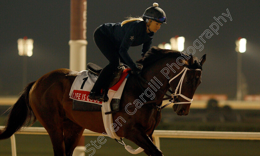 Life-Is-Good-0012 
 LIFE IS GOOD training for the Dubai World Cup
Meydan, Dubai, 22 Mar 2022 - Pic Steven Cargill / Racingfotos.com