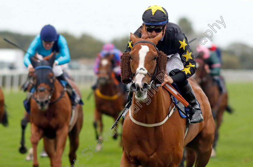 Tarbaan-0002 
 TARBAAN (Kevin Stott) wins The EAAA East Coast Air Ambulance Handicap
Yarmouth 19 Sep 2023 - Pic Steven Cargill / Racingfotos.com