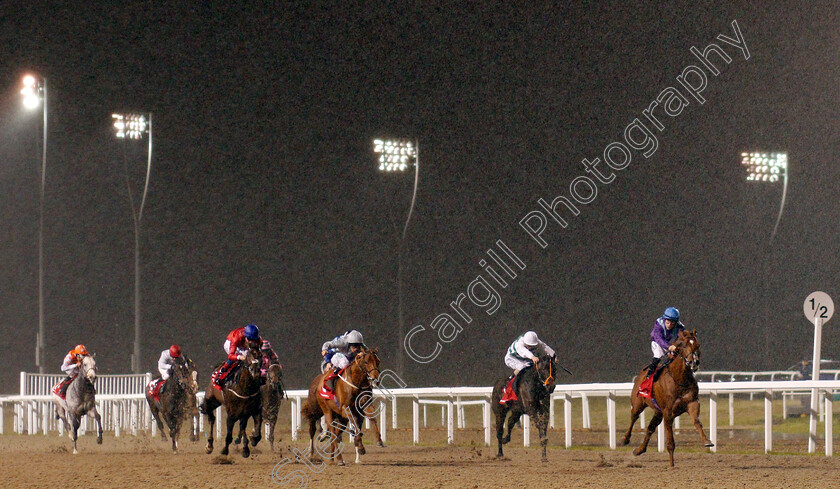 Great-Ambassador-0003 
 GREAT AMBASSADOR (Richard Kingscote) wins The Matchbook EBF Future Stayers Novice Stakes
Chelmsford 28 Nov 2019 - Pic Steven Cargill / Racingfotos.com