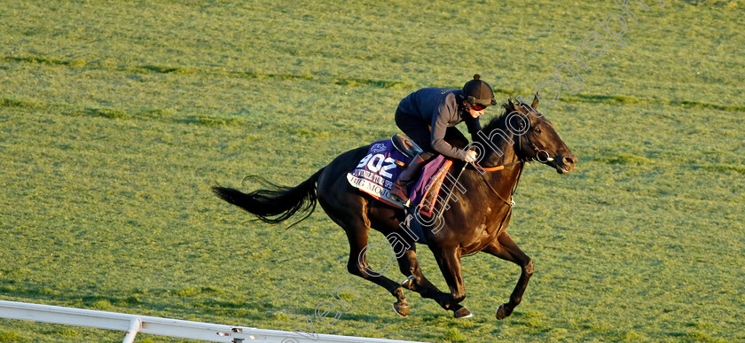 Big-Mojo-0003 
 BiG MOJO (Tom Marquand) training for the Breeders' Cup Juvenile Turf Sprint
Del Mar USA 30 Oct 2024 - Pic Steven Cargill / Racingfotos.com