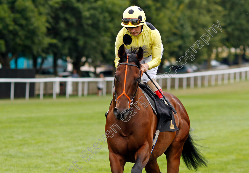 Razzle-Dazzle 
 RAZZLE DAZZLE (Andrea Atzeni)
Newmarket 30th July 2022 - Pic Steven Cargill / Racingfotos.com