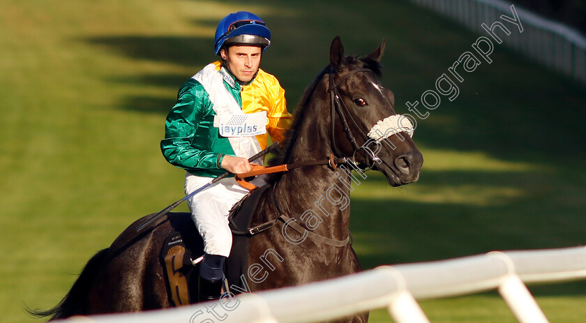 Neverstopdreaming-0001 
 NEVERSTOPDREAMING (William Buick)
Newmarket 28 Jun 2024 - Pic Steven Cargill / Racingfotos.com